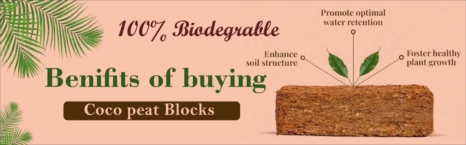 WhatsApp Image 2025-12-04 at 11.39.09 AM (1)