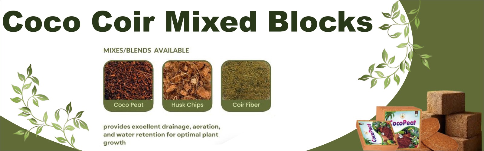 WhatsApp Image 2025-12-04 at 11.39.10 AM (2)