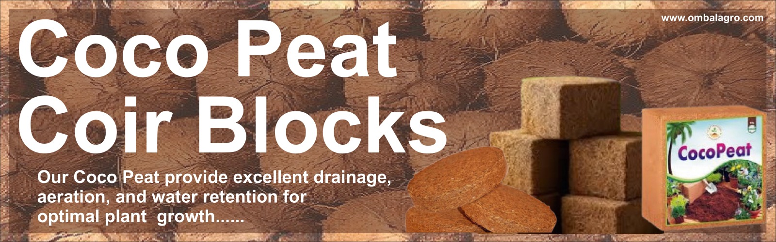 WhatsApp Image 2025-12-04 at 11.39.10 AM (3)