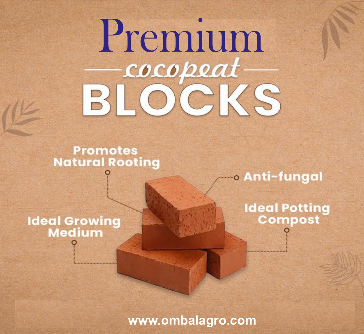 WhatsApp Image 2025-12-04 at 11.39.26 AM (1)