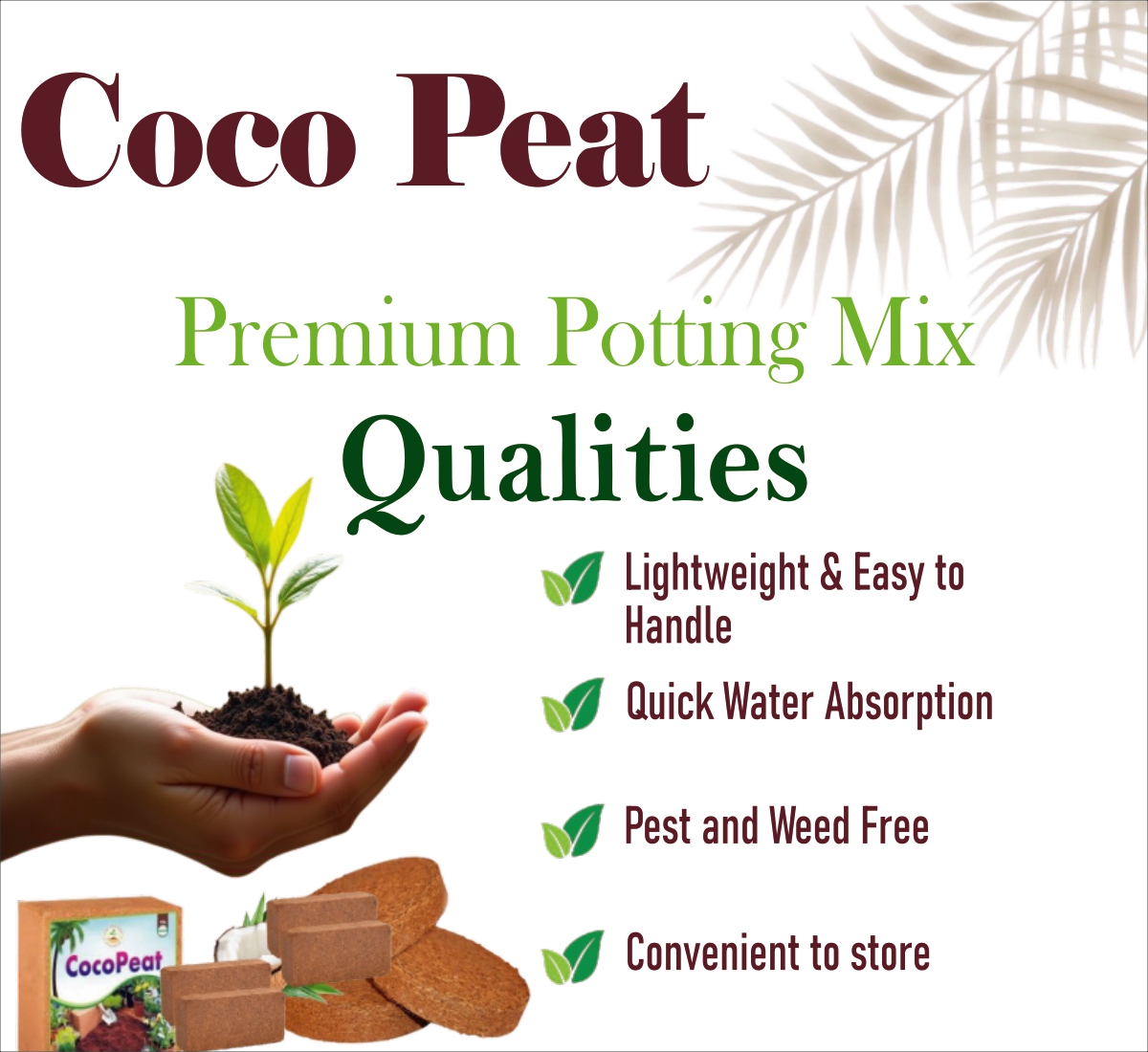 WhatsApp Image 2025-12-04 at 11.39.32 AM (1)