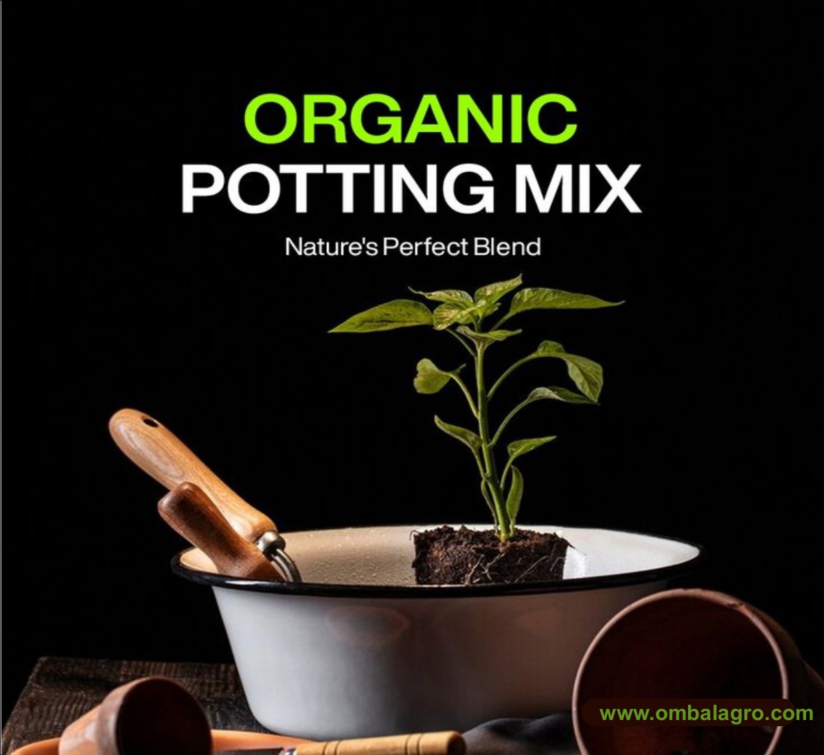 WhatsApp Image 2025-12-04 at 11.39.32 AM (2)