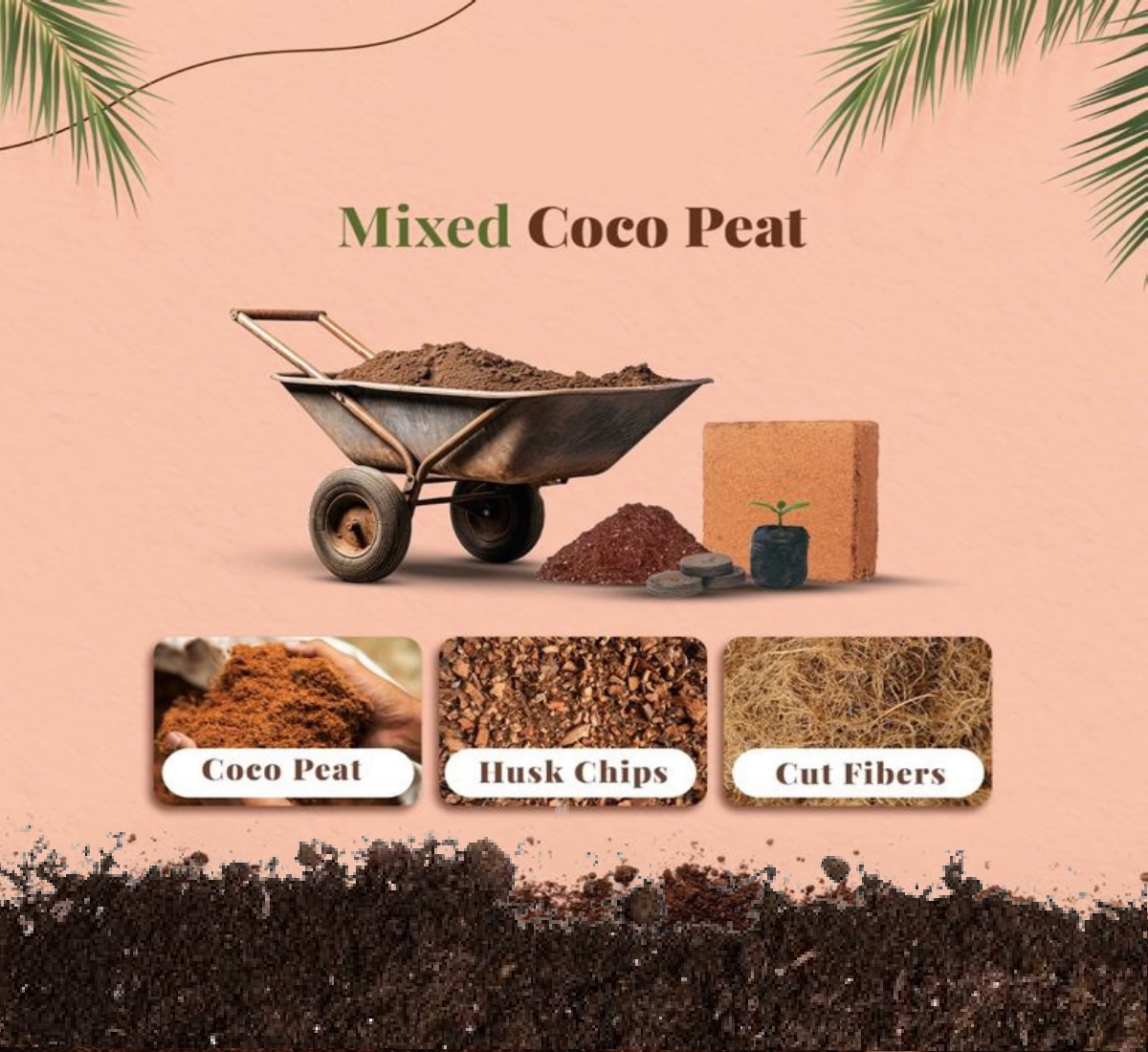 WhatsApp Image 2025-12-04 at 11.39.33 AM